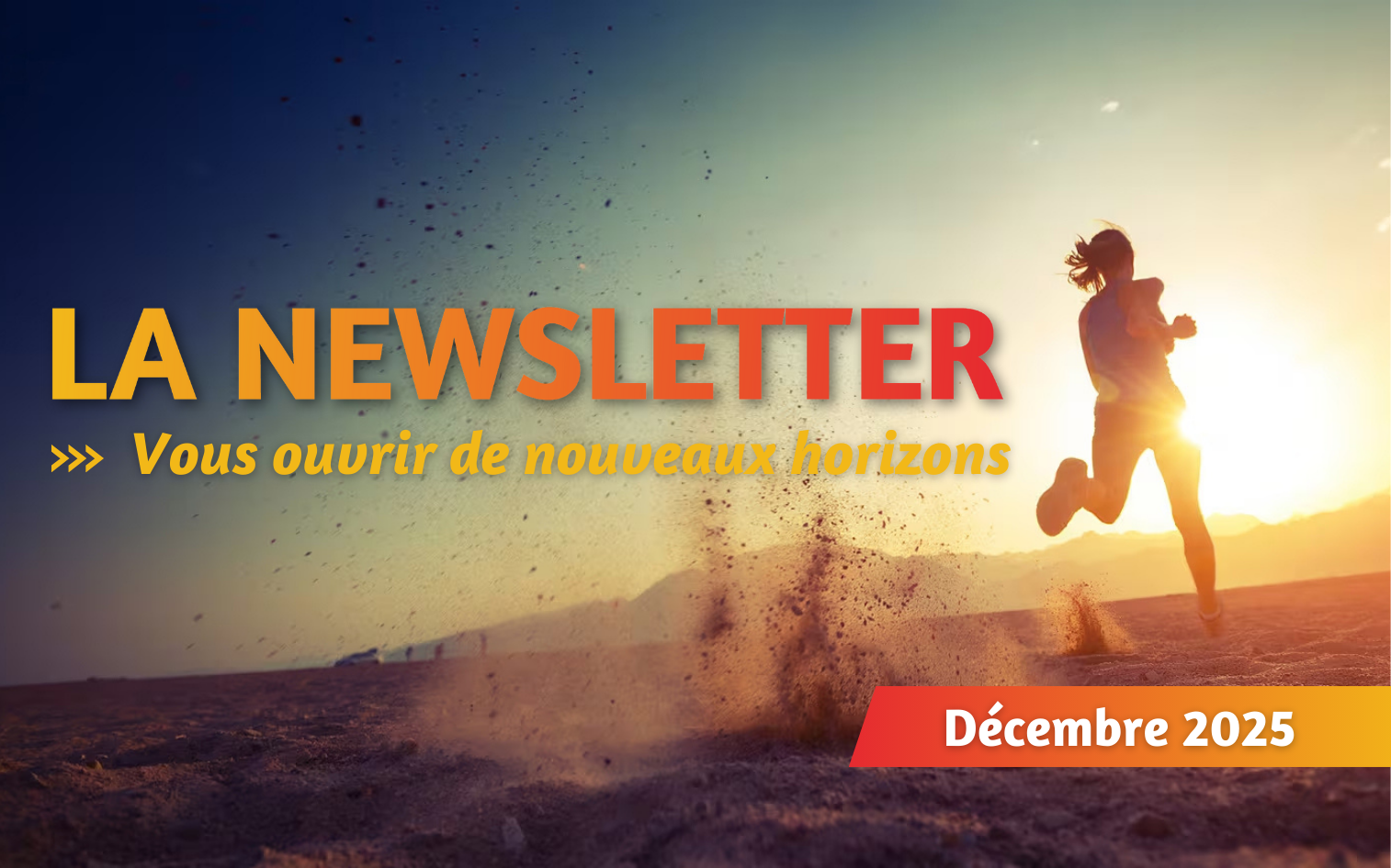 newsletter 2025 12